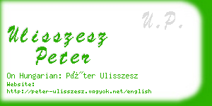 ulisszesz peter business card